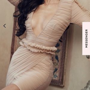 Fleur Blush Pleated Tulle Deep V Dress XS